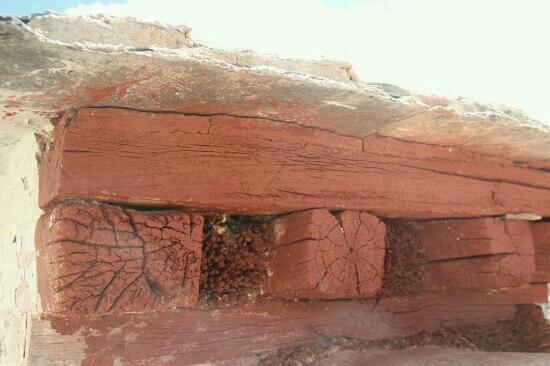 Nechung Monastery and Temple