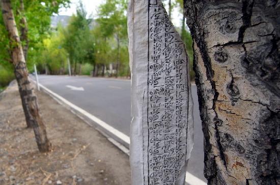 Lhalu Wetland National Nature Reserve