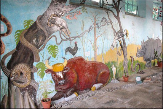 Annapurna Butterfly Museum