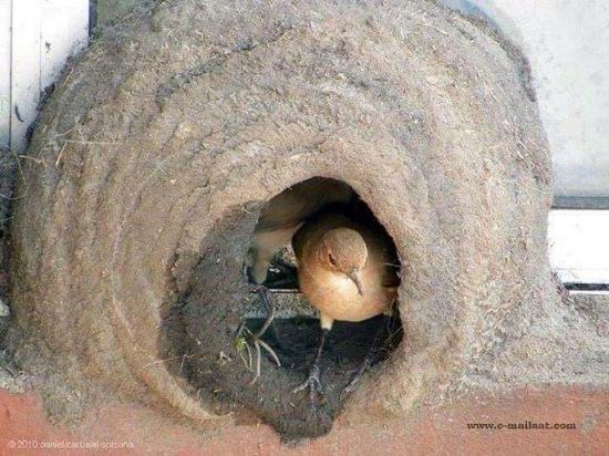 Salim Ali Bird Sanctuary