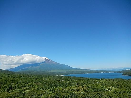 Panoramic Viewing Platform