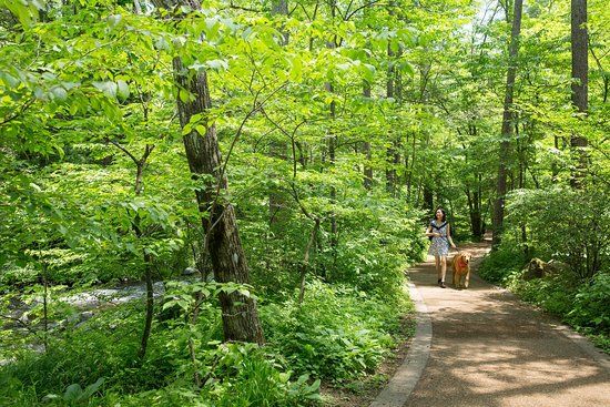 Karuizawa Hoshino Area