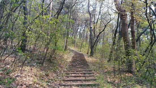Asamushi Onsen Forest Park