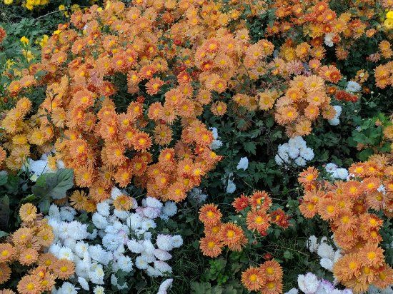 Archaeological Museum