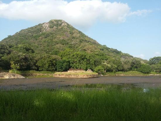 Kalu Diya Pokuna Natural Black Water Pond