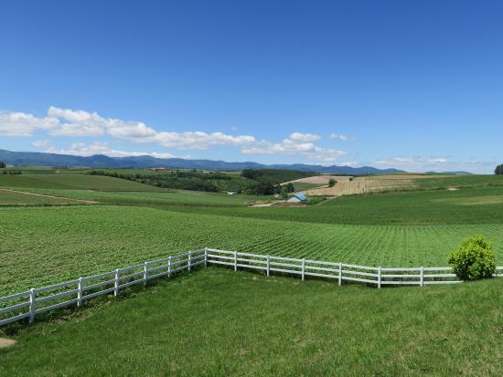 Shinei no Oka Tenbo Koen