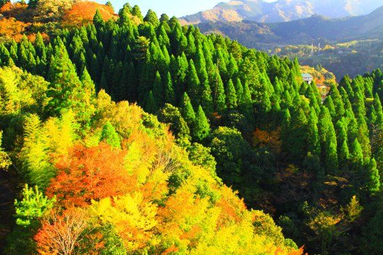 Shinto Takachiho Bridge