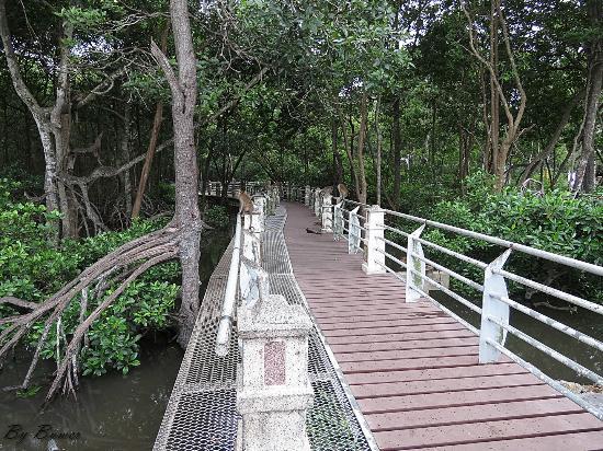 Mangrove Park