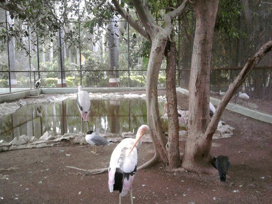 Sakkarbaug Zoological Garden