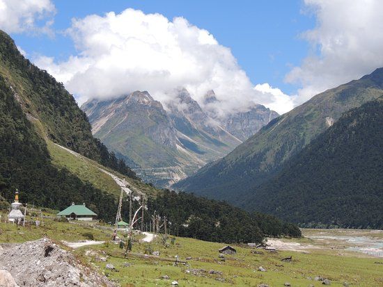 Yumthang Valley