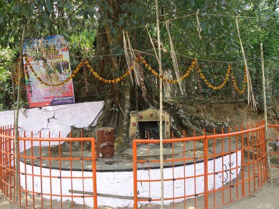 Chain Tree of Karinthandan