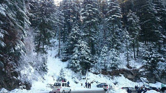 Himalayan Nature Park