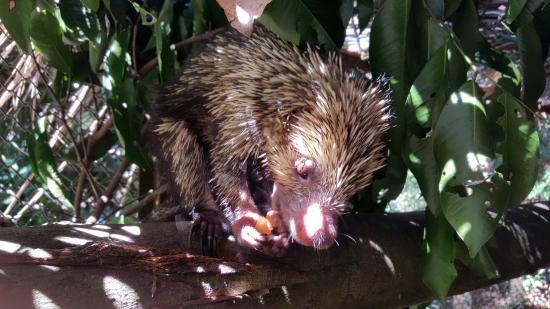 Osa Wildlife Sanctuary