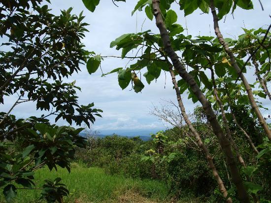 La Reserva Forest Reserve