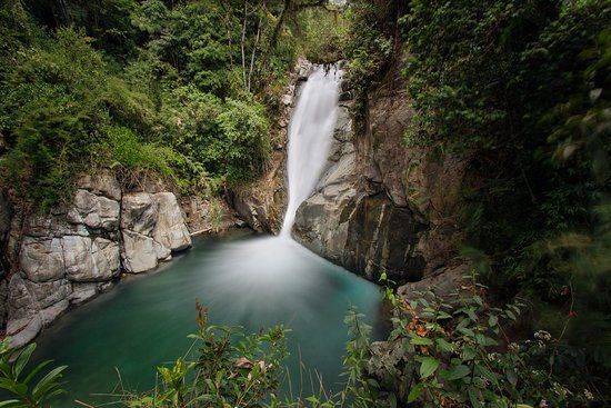 Cloudbridge Nature Reserve