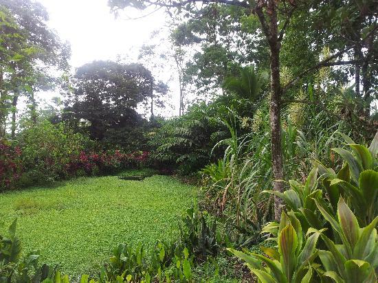 MiniZoo y Jardín Yori