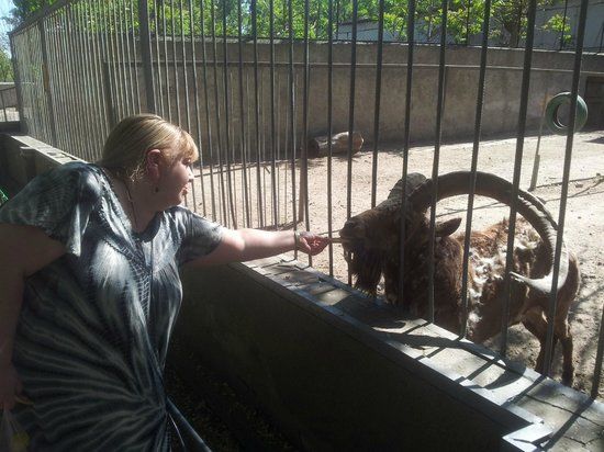 Odeski Ogród Zoologiczny