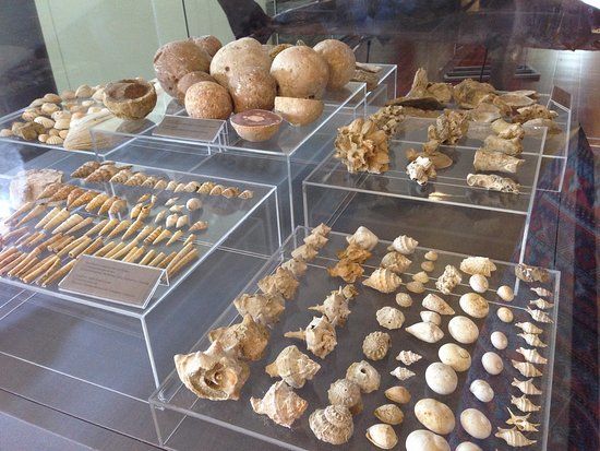 Thalassa Sjöfartsmuseum