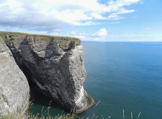 RSPB Scotland Fowlsheugh