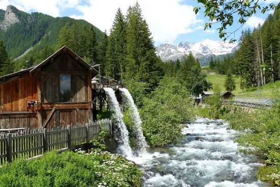 Antichi Larici della Val d'Ultimo