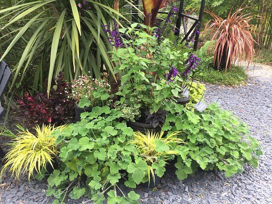 Les Jardins de la Boirie