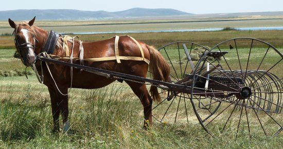 Kuyucuk Lake Wild Life Reserve
