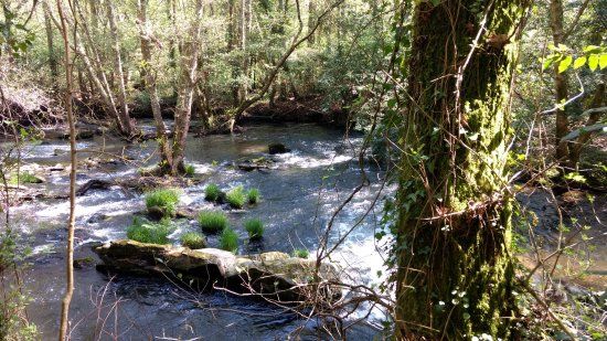 el Refugio de Verdes