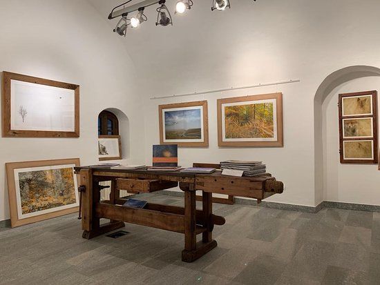 The Little Wild Gallery