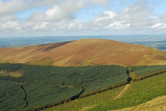 Mount Leinster