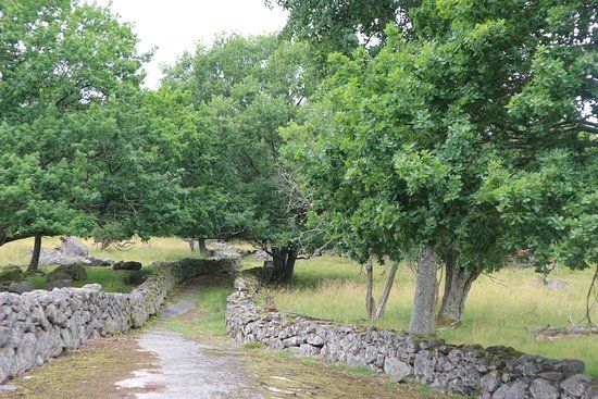 Eriksberg Wildlife Park