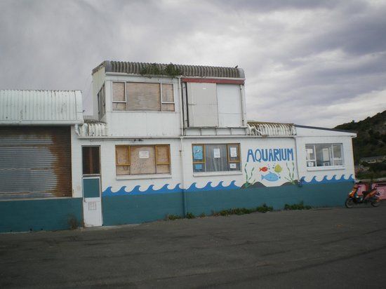 Kaikoura Marine Aquarium