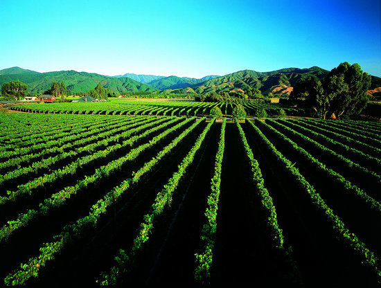Saint Clair Family Estate Vineyard Kitchen