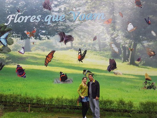 Borboletário Flores que Voam
