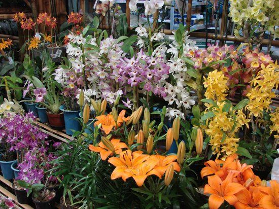 Bairro de Santa Felicidade