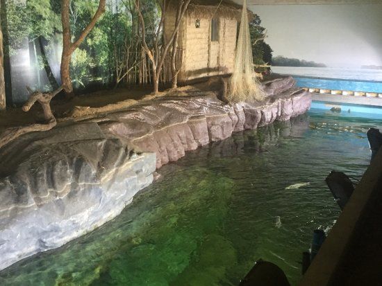 Aquário da Bacia do Rio São Francisco