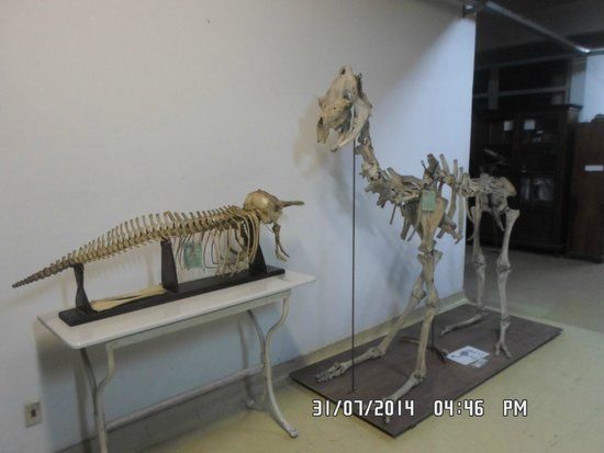 Herbario Alexandre Leal Natural History Museum