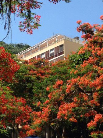 Parque Eduardo Guinle