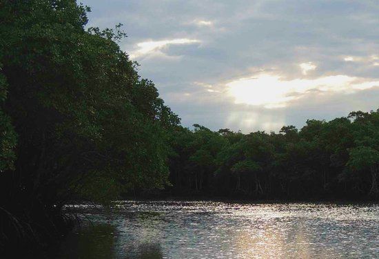 Reserva Biológica de Guaratiba