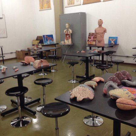 Museu de Anatomia