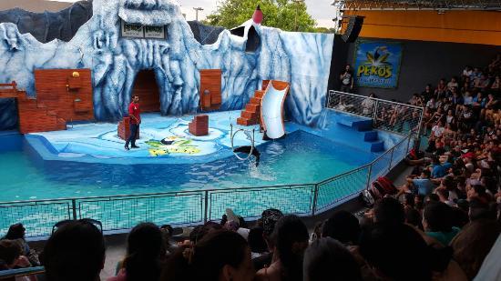 Peko's Entertainment Complex