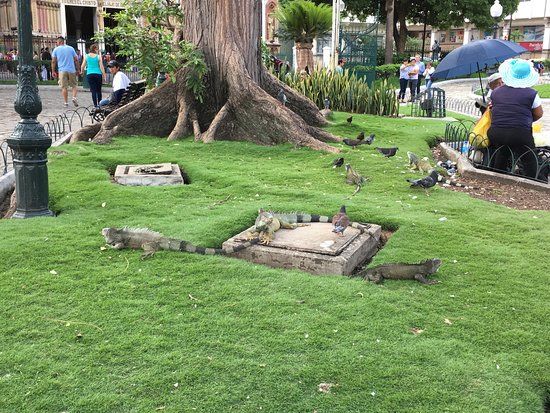 Parque de las Iguanas