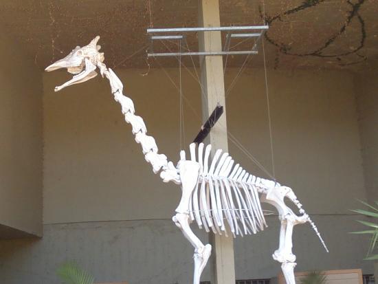 Museu de Ciências Naturais