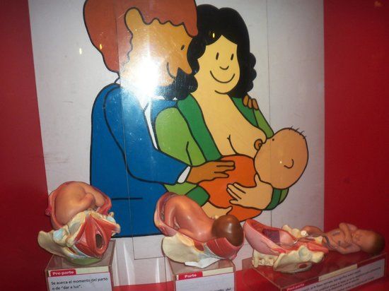 Children's Museum of Caracas