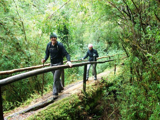 The Southern Experience