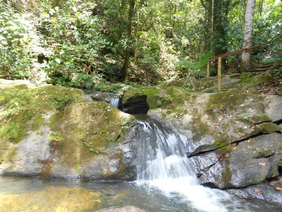 Entrada RPPN Vagafogo