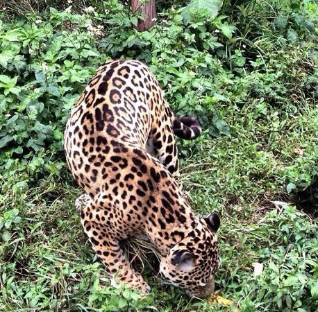 Zoologico de San Martin