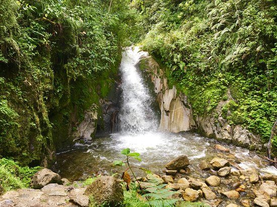 Los Jardines de Mandor