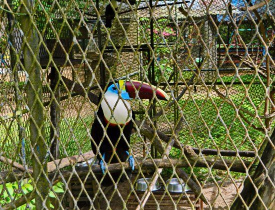 Parc Zoologique de Paramaribo