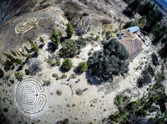 FIBAS Jardin de Desierto