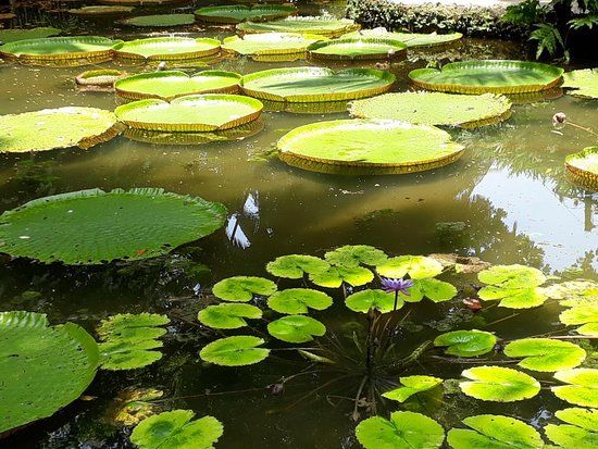 Parque Zoobotanico do Museu Paraense Emilio Goeldi